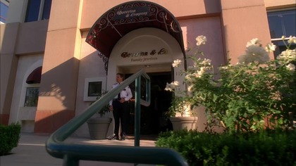 The. Mentalist. S02E09.pl