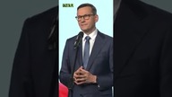 Apel do Tuska: Dlaczego nie kupujemy piratów?