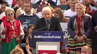 Kaczak w Chełmie