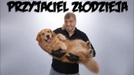 NAJLEPSZY PRZYJACIEL ZŁODZIEJA | Poszukiwacz 587