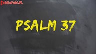 PLASTER MIODU  Psalm 37  Co robić kiedy zło zwycięża