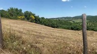 Tuscany Trail live - dzień 4 14:15