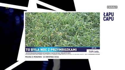 Canal+ 1 - Łapu Capu (23 kwietnia 2026)