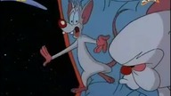 Pinky i M&oacute;zg S01E11 - Lot
