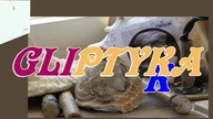 GLIPTYKA