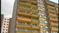 Drzewko - Przyroda i Ty, komedia ekologiczna 1991