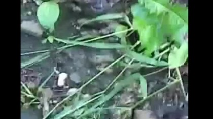Ukrainian teens killing homeless people