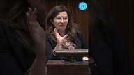 POZIOM NIEKOMPETENCJI PIS-U...  - Posłanka Maciejewska UDERZA w rząd #shorts