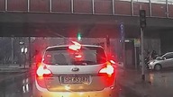 Instynkt Stadny