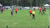 Skalnik Czarny B&oacute;r - Victoria Czadr&oacute;w z dnia 27.09.2020 r.  CzadGol #6