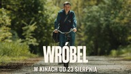 WRÓBEL | jedyny w swoim rodzaju 