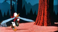 Kaczor Donald - Na drzewie (1955)