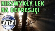Naukowcy znaleźli sposób na leczenie depresji światłem