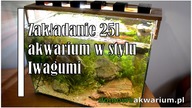 Zakładanie 25l akwarium – Iwagumi