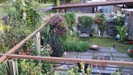 Garden KuRaż * widok z czereśni * 13.  07.  2025