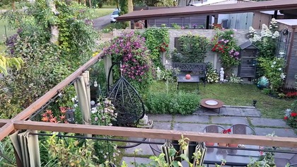 Garden KuRaż * widok z czereśni * 13.  07.  2025