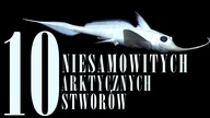 10 NIESAMOWITYCH ARKTYCZNYCH STWORÓW