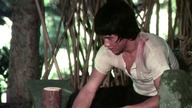 Zemsta tygrysa z Shaolin. 1976.pl. 1080p. Bluray. x264. Lektor.pl