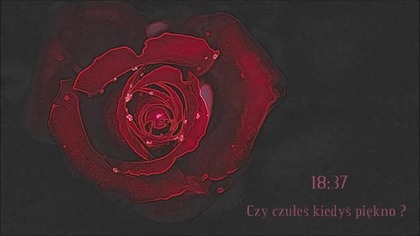 KRUQERA - CZY CZUŁEŚ KIEDYŚ PIĘKNO ?