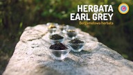 Herbata Earl Grey | Czajnikowy.pl