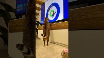 IGRZYSKA OLIMPIJSKIE ULUBIONA DYSCYPLINA