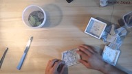 Unpacking H. incei, P. murinus, Heteropoda davidbowie od Dominika