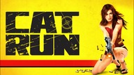 Uciekający kociak (2011) [Lektor PL] - Cat Run