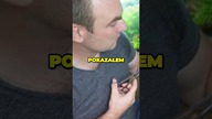 Rośliny na ławie.  #akwarium #shorts