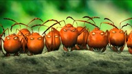 ROBACZKI Z ZAGINIONEJ DOLINY - oficjalny polski zwiastun HD
