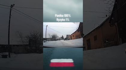 Panika 100%, zagrożenie 1% ale emocje kosmos!  #poślizg #panic #polskikierowca