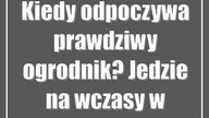 Kiedy odpoczywa prawdziwy ogrodnik? Jedzie na wczasy w listopadzie