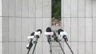 Konfederacja Nie BĘDZIE popierać KOMUNISTÓW, ani z PO, ani z PiS * Jakub Kulesza, Sośnierz, Urbaniak