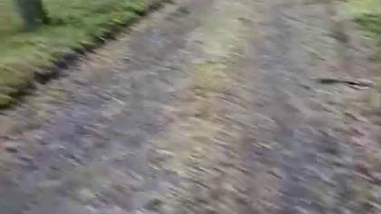 Skrzydlata Kompanija nadaje na żywo