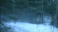 Ginger Snaps 3 Początek (napisy PL) cz 2