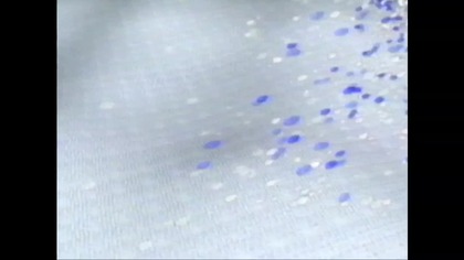 Stój Bo Mamuśka Strzela..Rtl 7..VID-1716911045569 (1) (2)