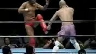 The Best Of Bas Rutten