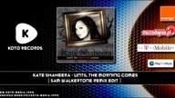 Kate Shaheera - Until The Morning Comes (Sam Walkertone Remix Edit)