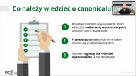 Webinar DevaGroup - Tagi canonical jak NIE NALEŻY ich używać?