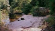 M- S - O- b (1994) [lektor pl]