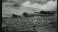 47 Odcinek Okinawa