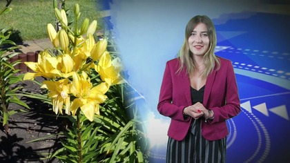 Telewizja Jaworzno

Materiał pochodzi ze strony https://www.jaw.pl
#jaworzno #jawpl