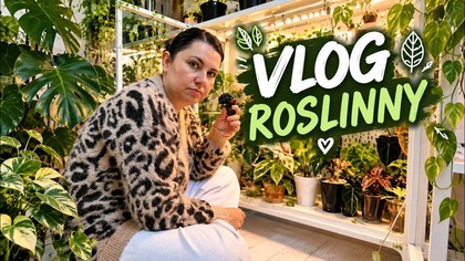 VLOG ROŚLINNY!