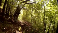 Wilcza Jama, Niedżwiedzia Nora - Jerzmanice