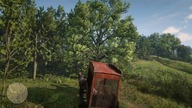 Red Dead Redemption 2Karawan cyrkowa | Osiał jako Zebra | pies jako Lew 24#