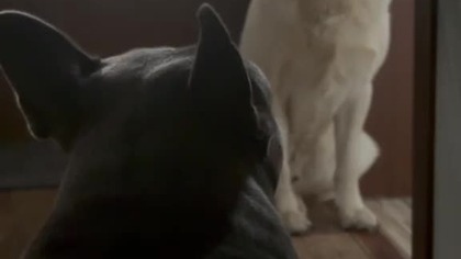 On to czuję, znów jutro wyjeżdżam.