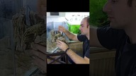 Układanie skalistej aranżacji do akwarium.