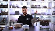 MRÓWKI PO ZIMOWANIU!  Messor, Camponotus, Rhytidoponera