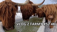 Awaria wodopoju przy -18°C! Walka z mrozem na farmie
