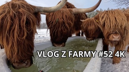 Awaria wodopoju przy -18°C! Walka z mrozem na farmie