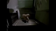 Due South....S03E06